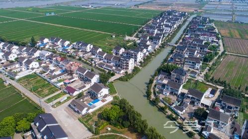 吴江东联村新闻爆料,揭秘乡村振兴新亮点 第3张 吴江东联村新闻爆料,揭秘乡村振兴新亮点 第3张